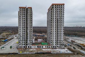 Возведение стен