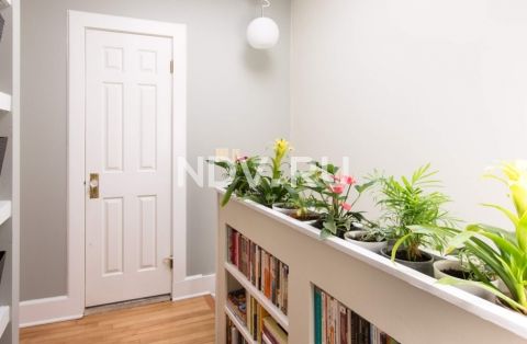 Растения в интерьере: как быстро и эффектно озеленить квартиру