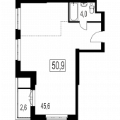 2-комнатная квартира 50,9 м²
