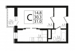 1-комнатная квартира 31 м²
