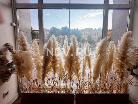 Искусство продаж: самые необычные офисы жилых комплексов