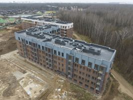 Корпус 7: благоустройство