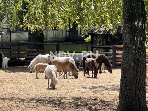ЖК “Гармония парк”: маршрут выходного дня