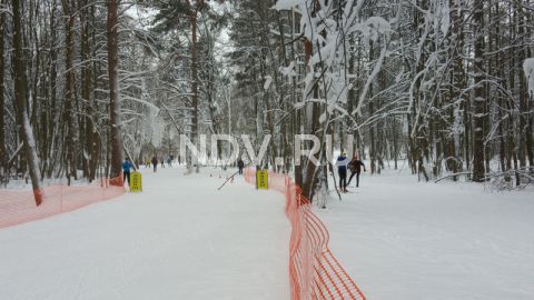 Сама дошла, на лыжах: обзор лучших подмосковных трасс