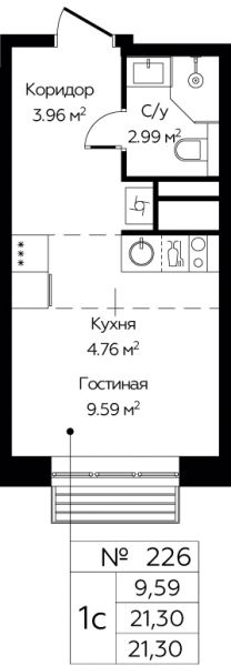 Студия до 21.3