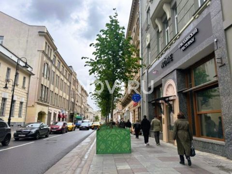 Москва расцвела: в столице проходит красивейший фестиваль «Сады и цветы»