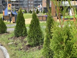 Территория ЖК, благоустройство