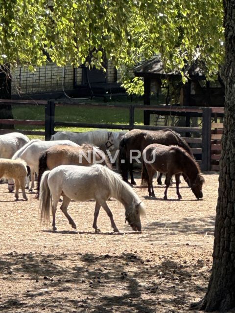ЖК “Гармония парк”: маршрут выходного дня