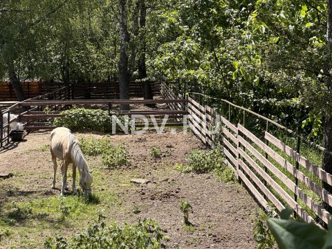 ЖК “Гармония парк”: маршрут выходного дня