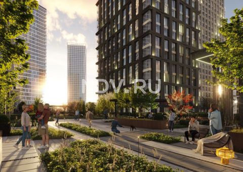 Dog friendly: как лояльная среда для животных меняет человеческое комьюнити