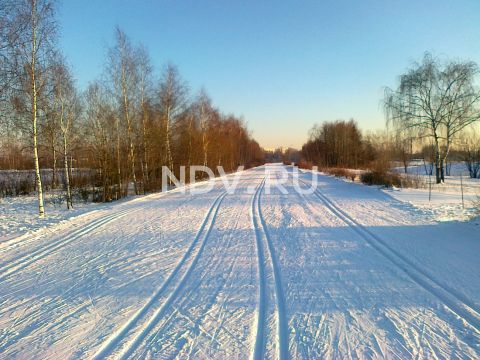 Сама дошла, на лыжах: обзор лучших подмосковных трасс