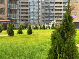 Территория ЖК, благоустройство