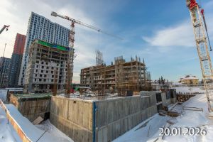 Монолитные работы, кладка стен