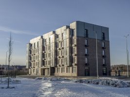 Корпус 10: благоустройство