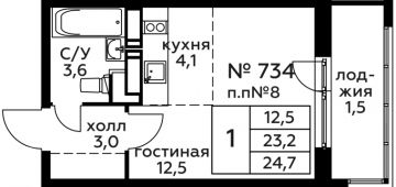 1-комнатная квартира 24,7 м²