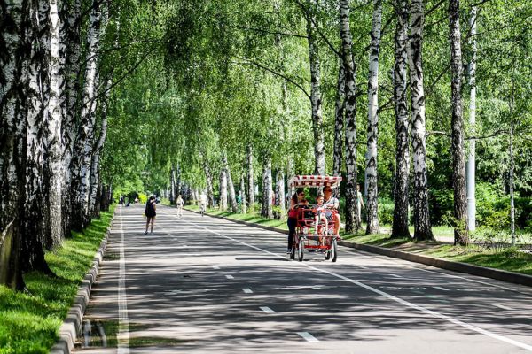В окружении парков