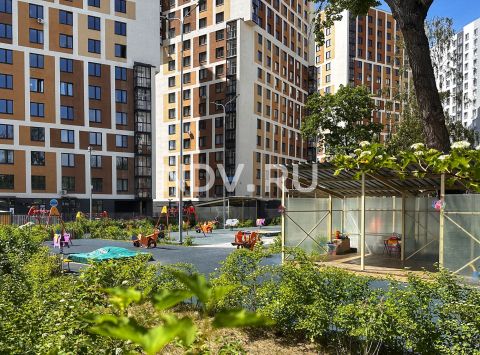 ЖК “Гармония парк”: маршрут выходного дня