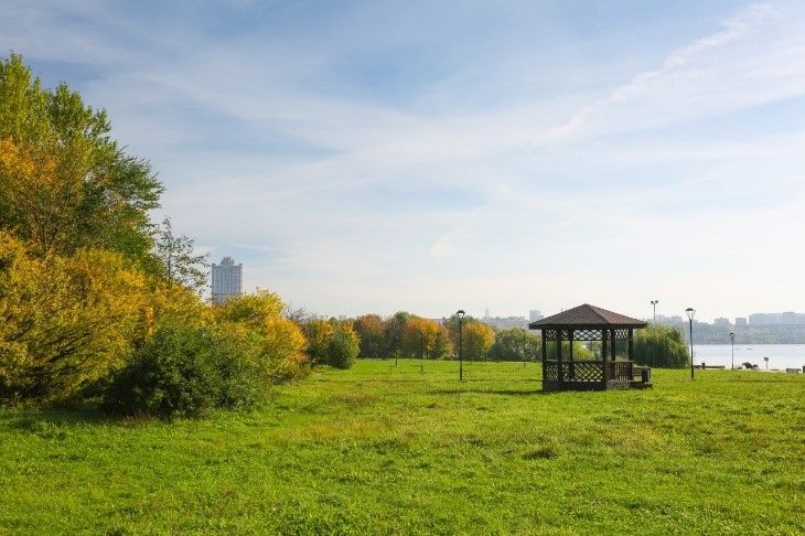 Realty.ru: эксперт НДВ назвала Строгино самым экологичным районом Москвы