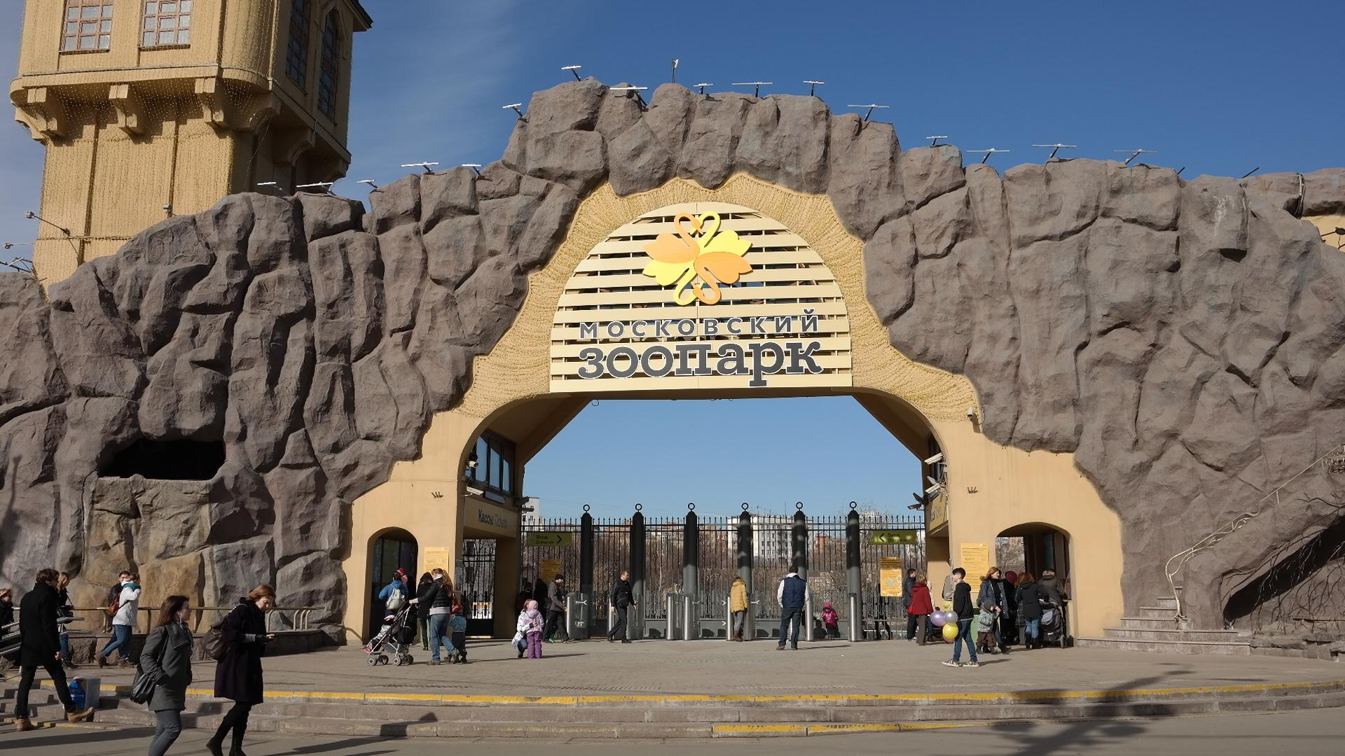 В Московском зоопарке появится павильон "Ластоногие"