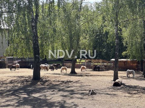 ЖК “Гармония парк”: маршрут выходного дня