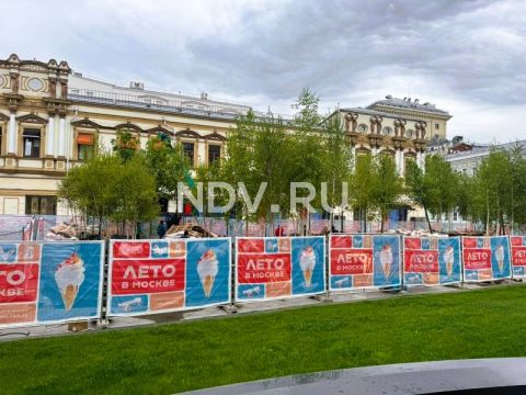 Москва расцвела: в столице проходит красивейший фестиваль «Сады и цветы»