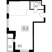 2-комнатная квартира 50,9 м²