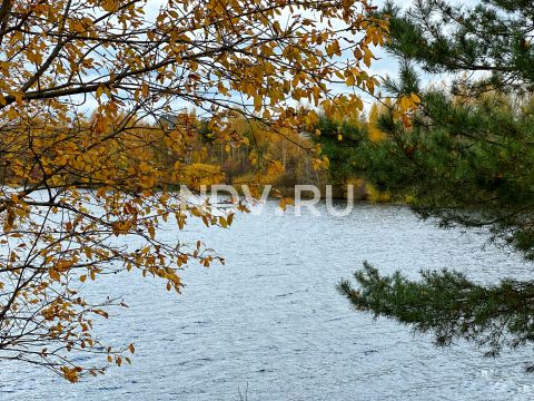 Чаепитие, яхты, водопровод и новостройки: почему стоит покупать квартиру в Мытищах