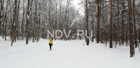 Сама дошла, на лыжах: обзор лучших подмосковных трасс