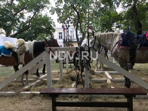 Фестиваль «Времена и эпохи»: реконструкции, квесты и исторический парад физкультурников