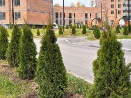 Территория ЖК, благоустройство