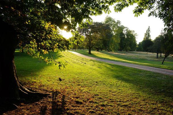 В окружении парков 