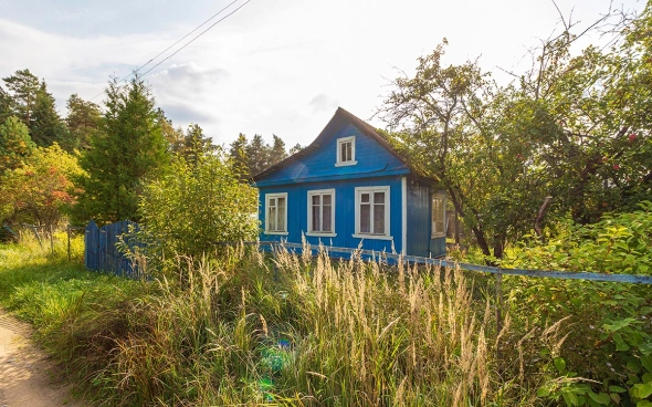 РБК: эксперт НДВ рассказала, какие дачи сдать в аренду сложнее всего