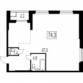 3-комнатная квартира 74,3 м²