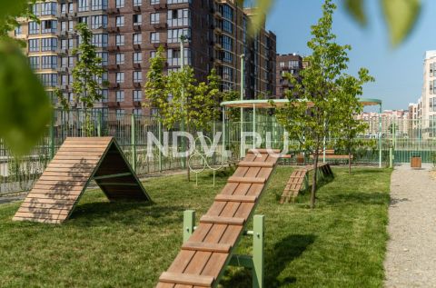 Dog friendly: как лояльная среда для животных меняет человеческое комьюнити