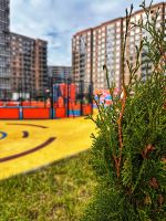 Территория ЖК, благоустройство