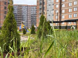 Территория ЖК, благоустройство