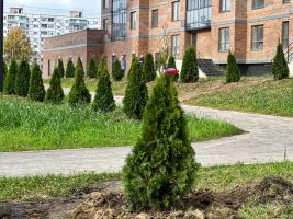 Территория ЖК, благоустройство