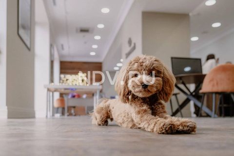 Искусство продаж: самые необычные офисы жилых комплексов