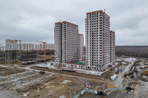 Возведение стен