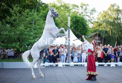 Афиша на выходные: благотворительный забег, цирк Шапито, шоу с участием 13 пород лошадей и многое другое