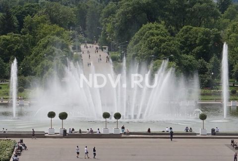 Лето в столице: парки Москвы возвращаются к привычному режиму работы