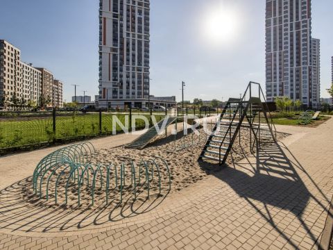 Dog friendly: как лояльная среда для животных меняет человеческое комьюнити