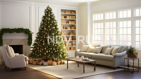 Пушистые, зеленые, твои. Новогодний гид по выбору елки