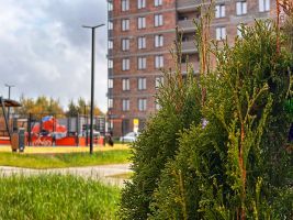 Территория ЖК, благоустройство