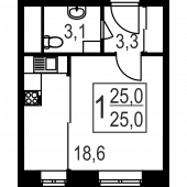 1-комнатная квартира 25 м²