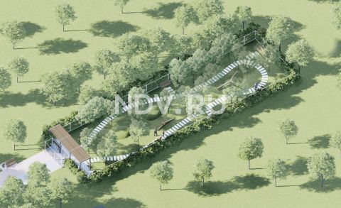 Dog friendly: как лояльная среда для животных меняет человеческое комьюнити