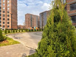 Территория ЖК, благоустройство