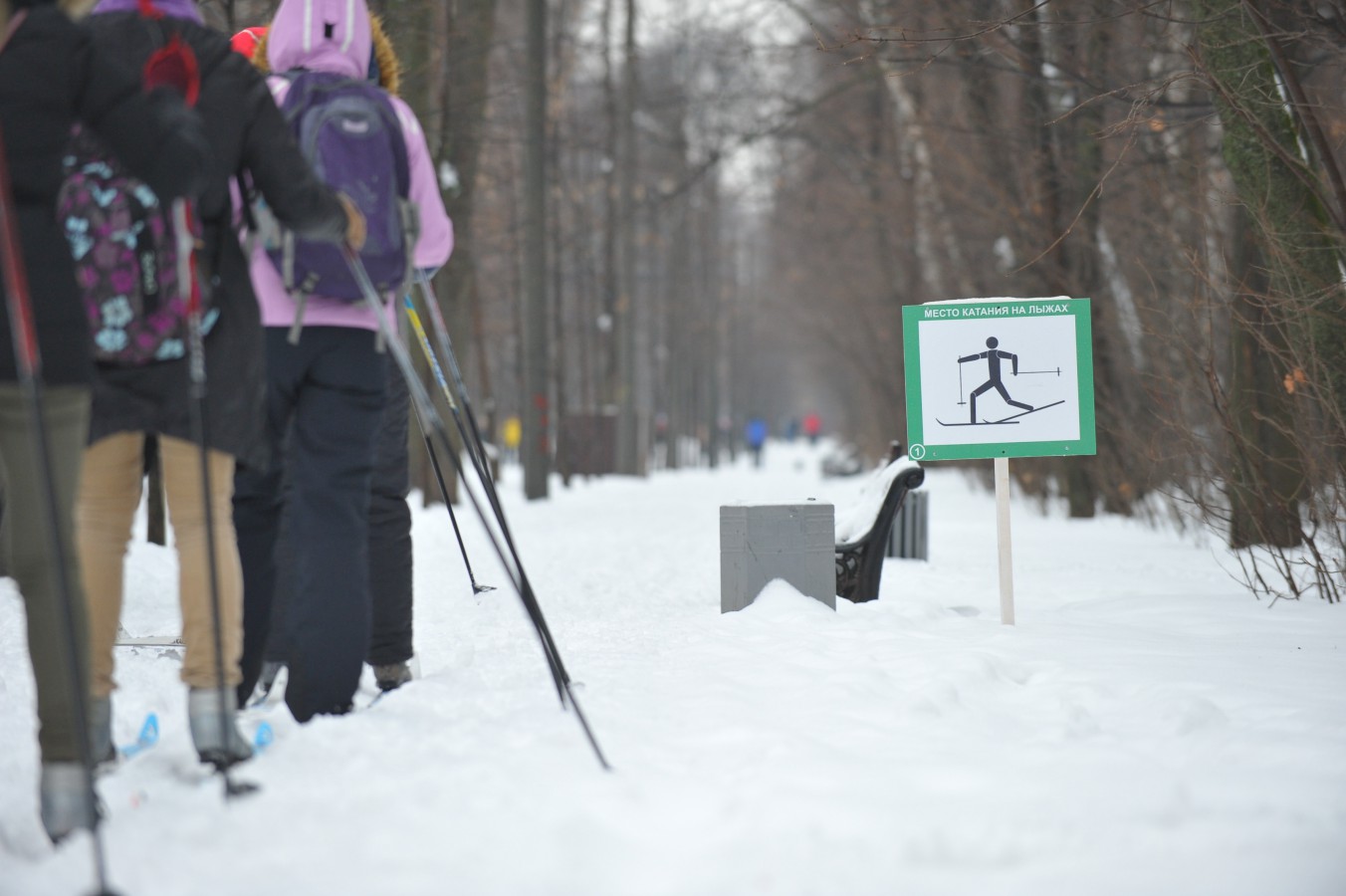 В "Сокольниках" открылась всепогодная лыжная трасса