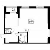 3-комнатная квартира 74,6 м²