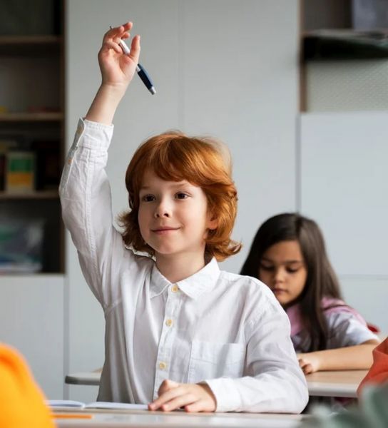 Детский сад и школа